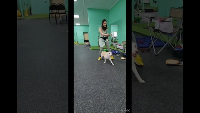 Брянск. Масер класс по танцам, и не только.