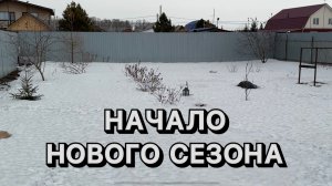Первая прогулка по саду!