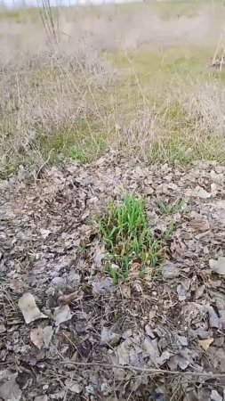 ввод водопровод на участок