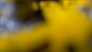 Bumblebee Vs Battletrap | Transformers Rise of the Beasts Fight In STOP MOTION (APRIL FOOLS)