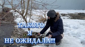 ❗️SOS❗️Мыши погрызли ЯБЛОНИ! Снежная ПЛЕСЕНЬ! Спасаем САД!