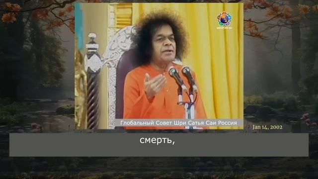 101 - Когда вы познаете это, ничто не сможет вас затронуть. Сатья Саи Баба.