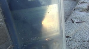 Поиск золота на пляже.Без золота не уйдём