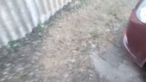 Ravon R3 _ Свист ремня генератора .Причина найдена.Не думал ,что так может быть.