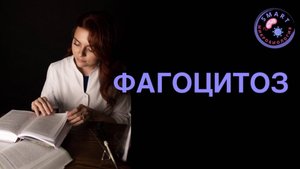 В этом видео разберём очень важный этап иммунного ответа - фагоцитоз .
