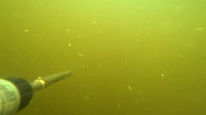 Дневная подводная охота на реке Днепр