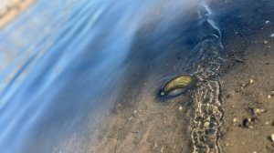 Рыбалка на НМР под Жуковским