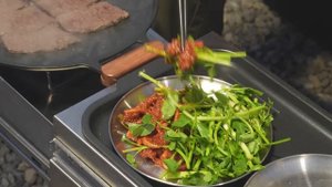 FISH13 Only $5,400💲Luxury Camping with Dog in Mini Cargo Trailer