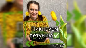 Пикировка и пересадка петунии✅