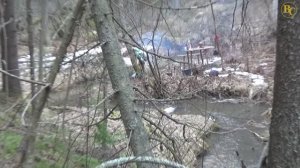 Весенняя разведка