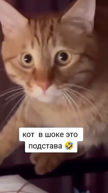 Это подстава