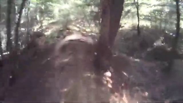 Camsports Coach смотреть онлайн