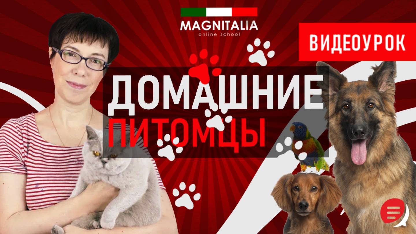 Домашние питомцы на итальянском. #итальянскийязык #италия #итальянскийязыкснуля