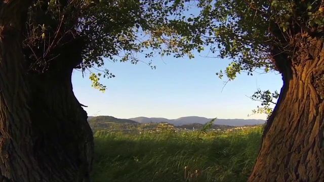 Plateau Land Group Launch Video смотреть онлайн