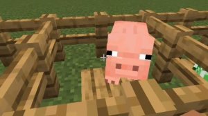 Dynamic Animation (SHOWCASE) - MCPE