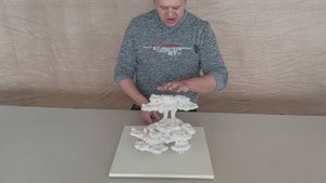 ДФМ-181 Декорация из биокерамики для морского аквариума.