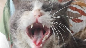 5 минут в яме