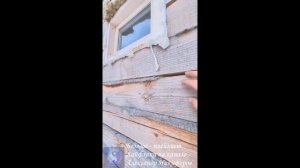 Лайфхак. Почему синеет и гниёт брус и как этого избежать