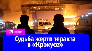 Как сложилась судьба выживших в теракте в «Крокус Сити Холле»