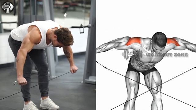 Shoulder Workout 7 Exercises to Build Massive Shoulders