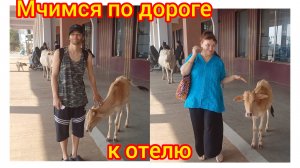 Водитель мчался по дороге, как угорелый 😁🚕