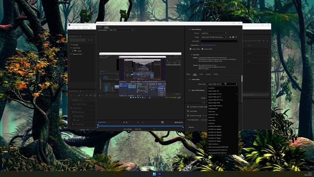 How to TRanscode Footage in Media Encoder