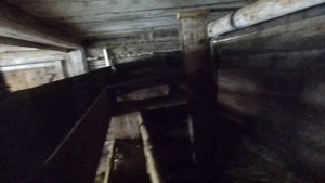 КУПИЛИ ДОМ В ДЕРЕВНЕ. ЧЕМ МЫ КОРМИМ НАШИХ КОЗ ОСЕНЬЮ И КАК ОНИ ЖУВУТ С ЛОШАДЬМИ