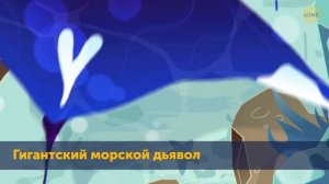 То, что скрывает глубокий океан, лежит за гранью воображения