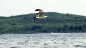 Отдых на море в 2017 году в пгт.Зарубино.