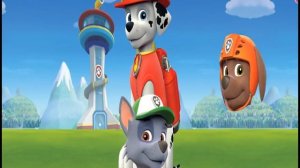 Wrong Heads Toys | Paw Patrol Rocky Chase Marshall Zuma | Colors for Kids