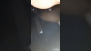 ПроМашину.НиваТревел.Обзор от покупки до...Фильм9.mp4