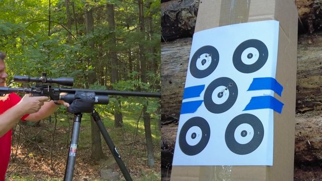 AEA Varmint .25 Caliber Bolt Action Airgun  Review - Hawke Optics - DonnyFL - Two Vets Tripods