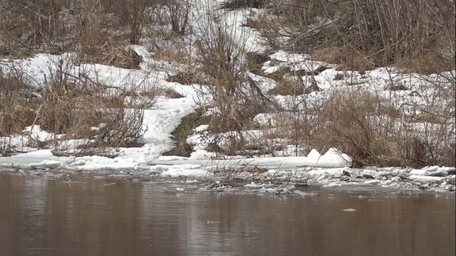 ЛЁД ПОШЕЛ смотреть онлайн