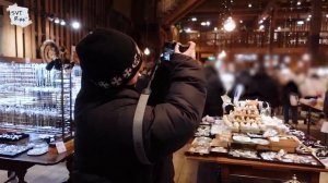 SVT Record 쿱스의 삿포로 여행 Vlog   + ☃ 완벽  첫 해외여행 ✈