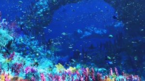 Она плавает бормалине не совершенствова линий движется по себе