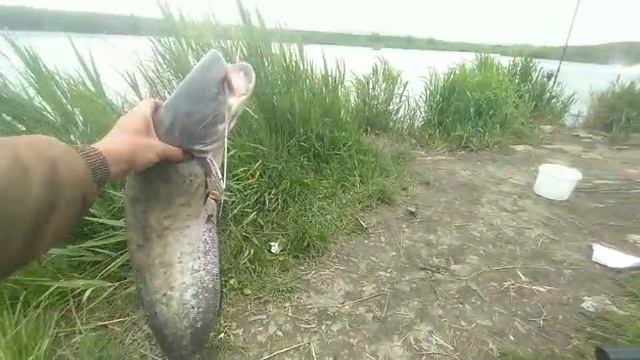 рыбалка