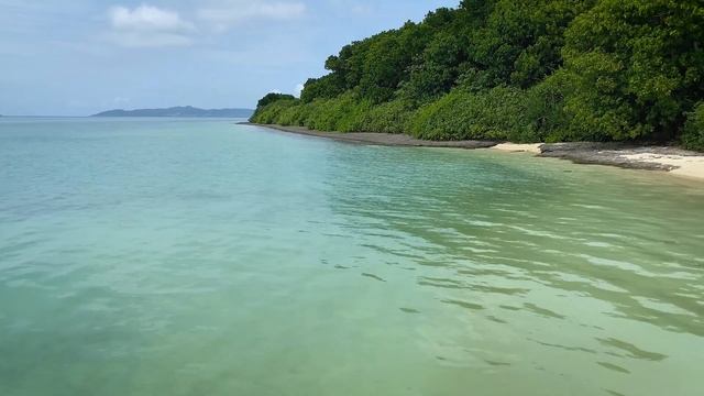 ОЯПОНИЛАСЬ! 10 вещей, которые я ПОЛЮБИЛА живя в Японии 10 лет смотреть онлайн