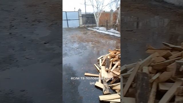 весенний потоп