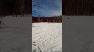 21.03.2025 небольшой коп металла