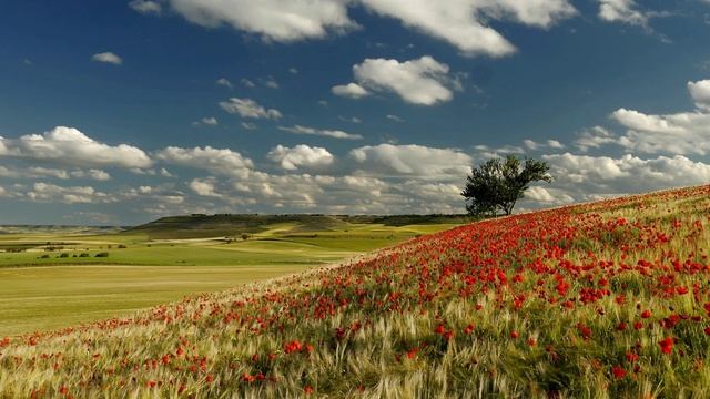 Покров Этно - Порадуйся смотреть онлайн