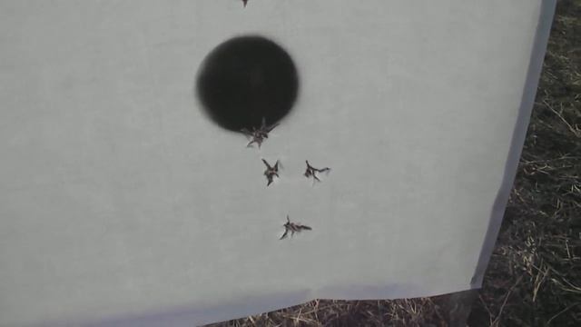 Пуля Феттер . ТОЗ - 66 смотреть онлайн