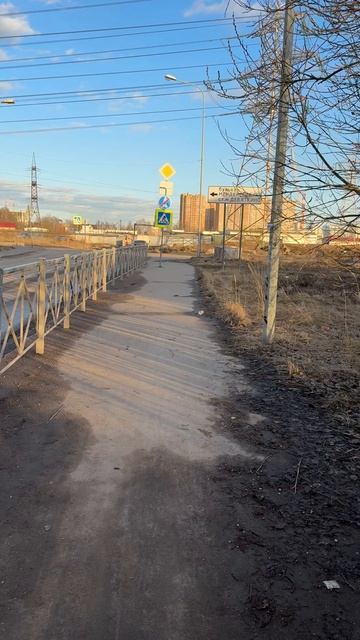 Велодорожка в Питере