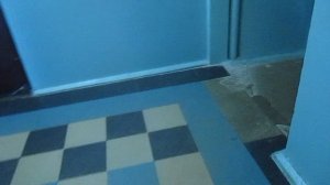 Лифт МЛЗ-(1991 г.в.), V=0,65 м/с, Q=400 кг (12)