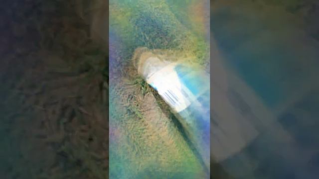 the council has decided your date смотреть онлайн