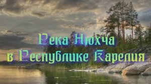 Река Нюхча в Республике Карелия