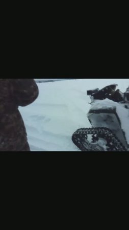 Палыч