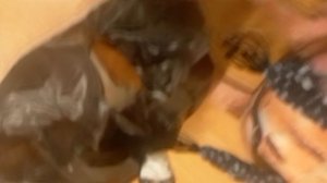 секретная концовка