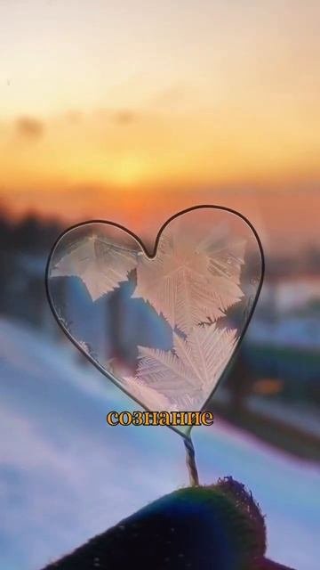 Безусловная любовь #любовь #просветление #пробуждениесознания #семинар #безусловнаялюбовь