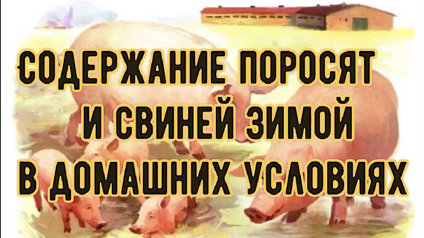 Содержание поросят и свиней зимой в домашних условиях