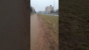 Гуляю у пустыря на Искровском
